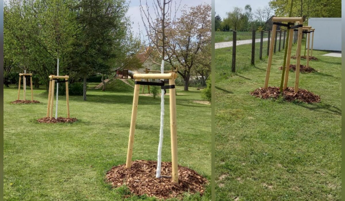 WhatsApp Image 2026-03-06 at 18.29.16