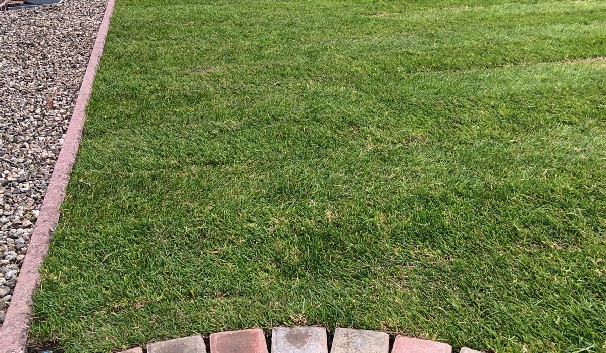 WhatsApp Image 2026-03-06 at 18.29.18 (1)