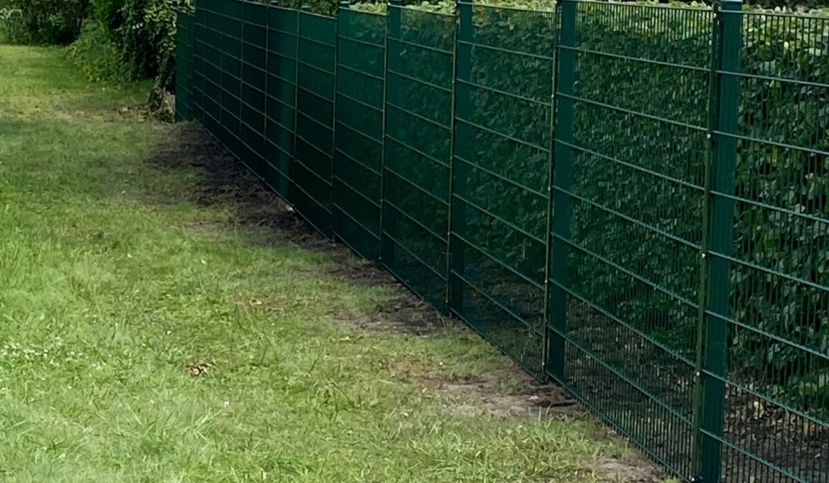 WhatsApp Image 2026-03-06 at 18.29.18