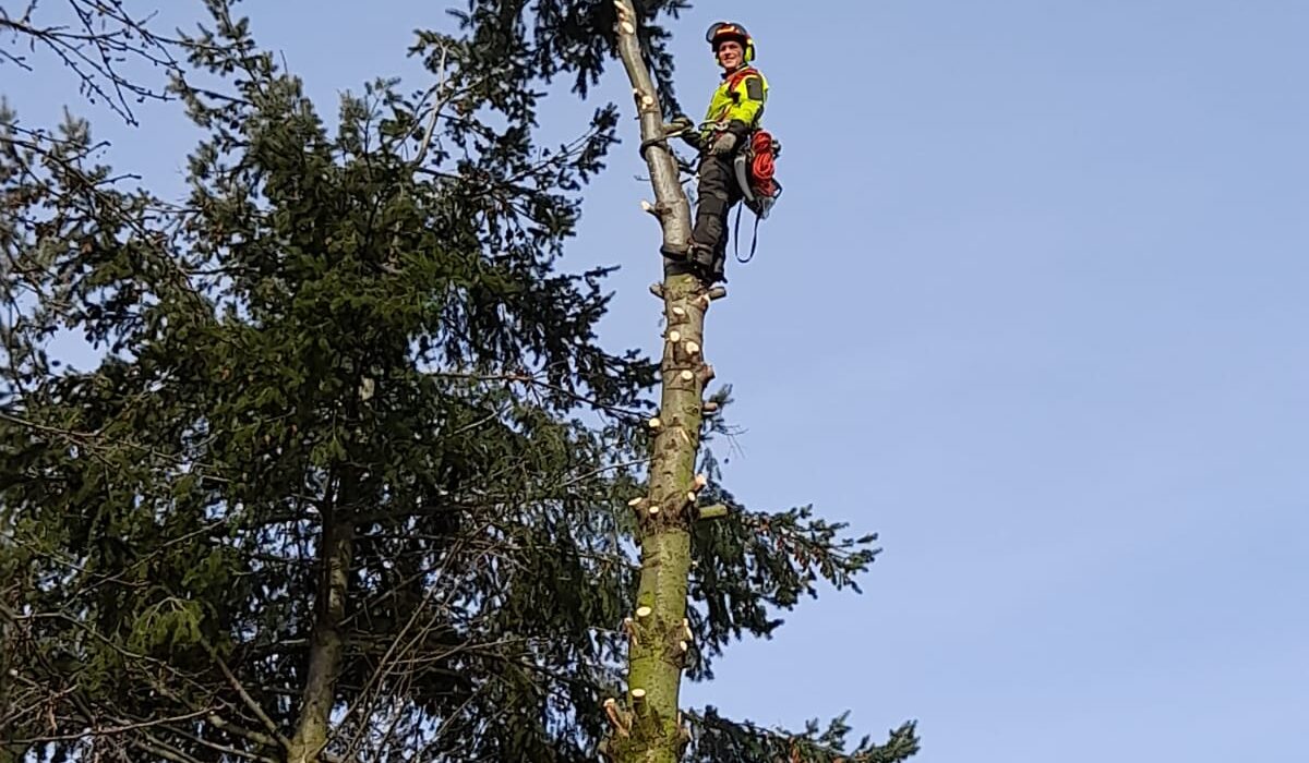 WhatsApp Image 2026-03-06 at 18.34.49